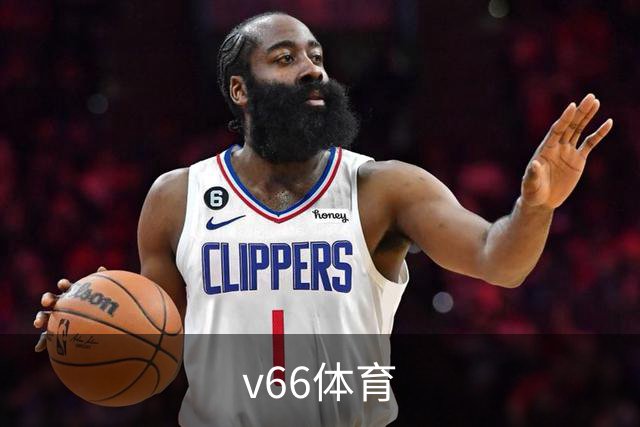 v66体育公司环境